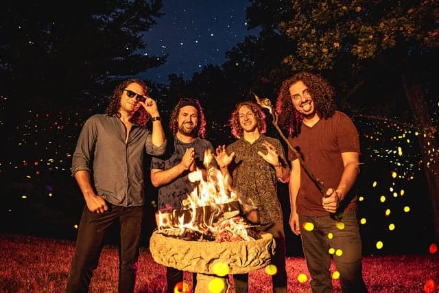 Pigeons Playing Ping Pong