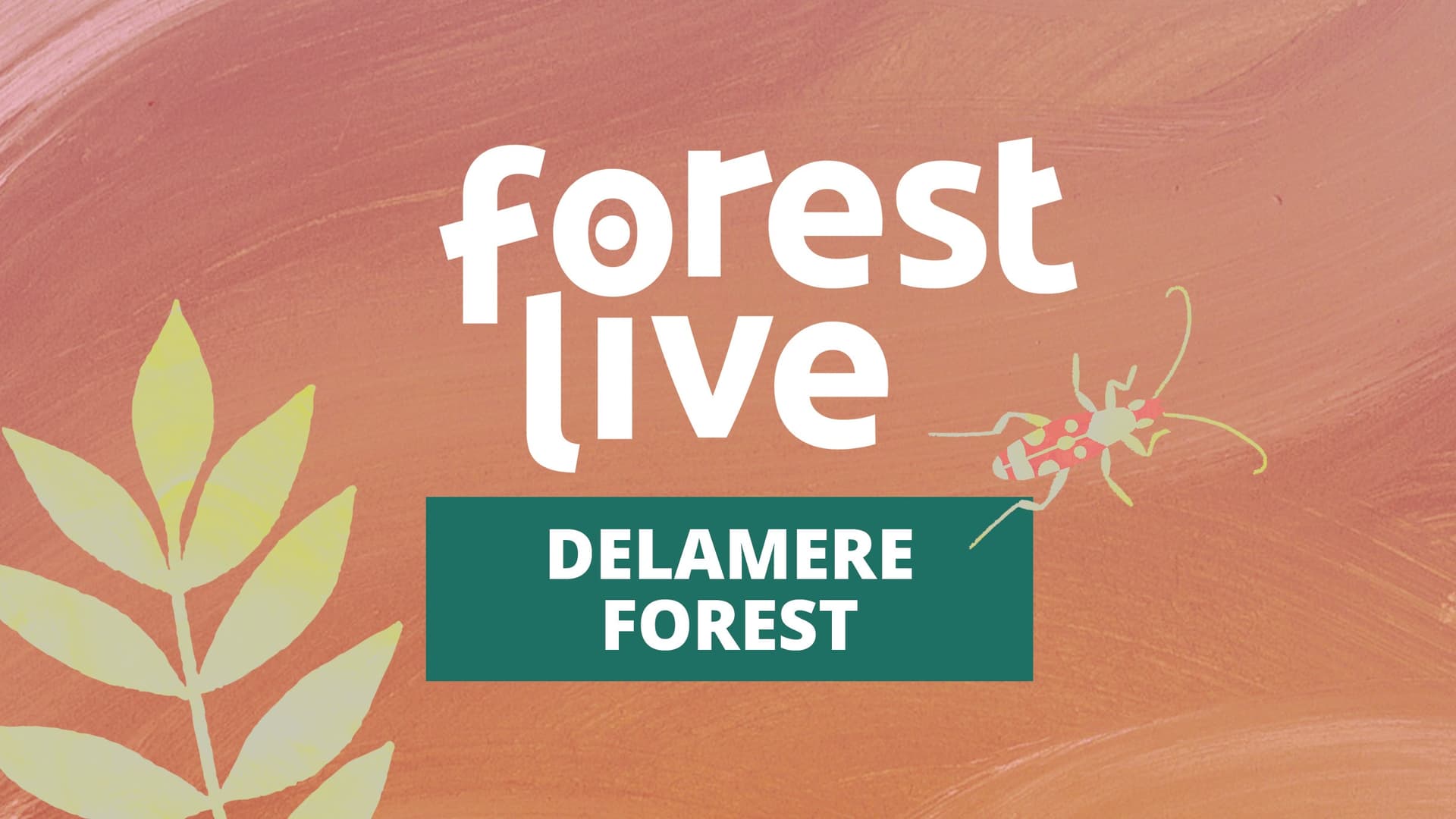 3 Day Festival Pass - Delamere Forest