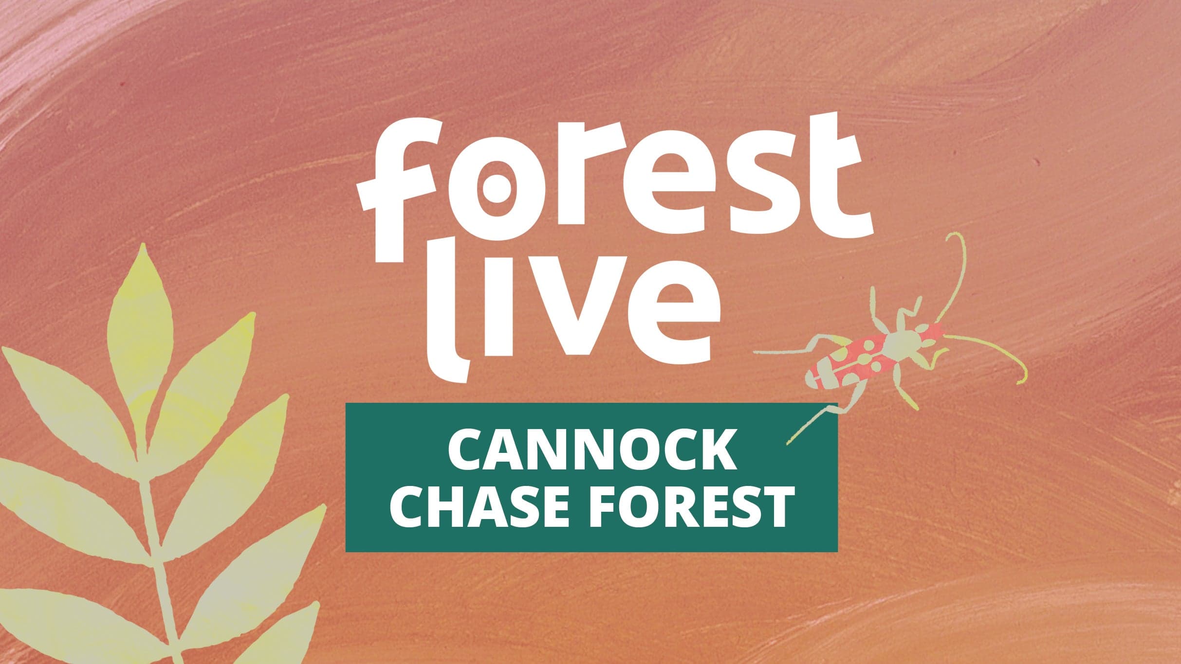Cannock Chase Forest - James - Cannock Chase Forest - zdjęcie 3