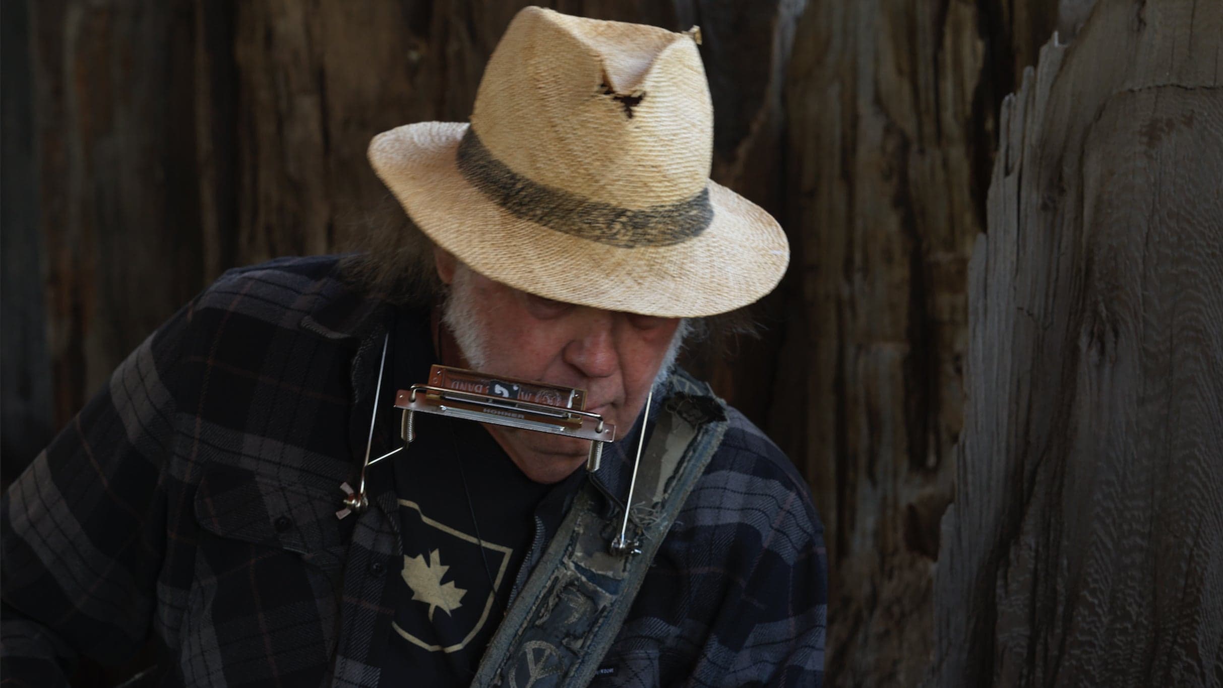 Neil Young - American Express pres BST Hyde Park - neil young and the chrome hearts - zdjęcie 3