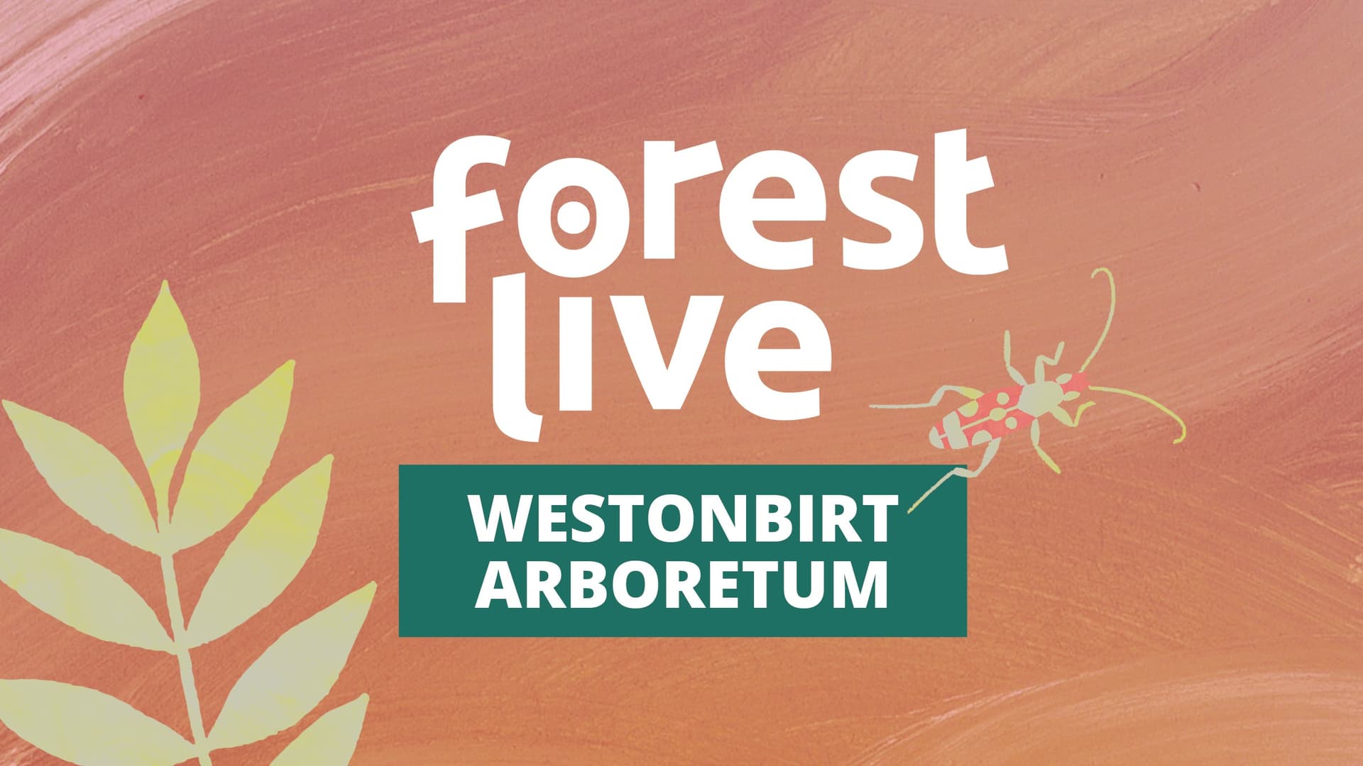 6 Day Festival Pass- Westonbirt Arboretum