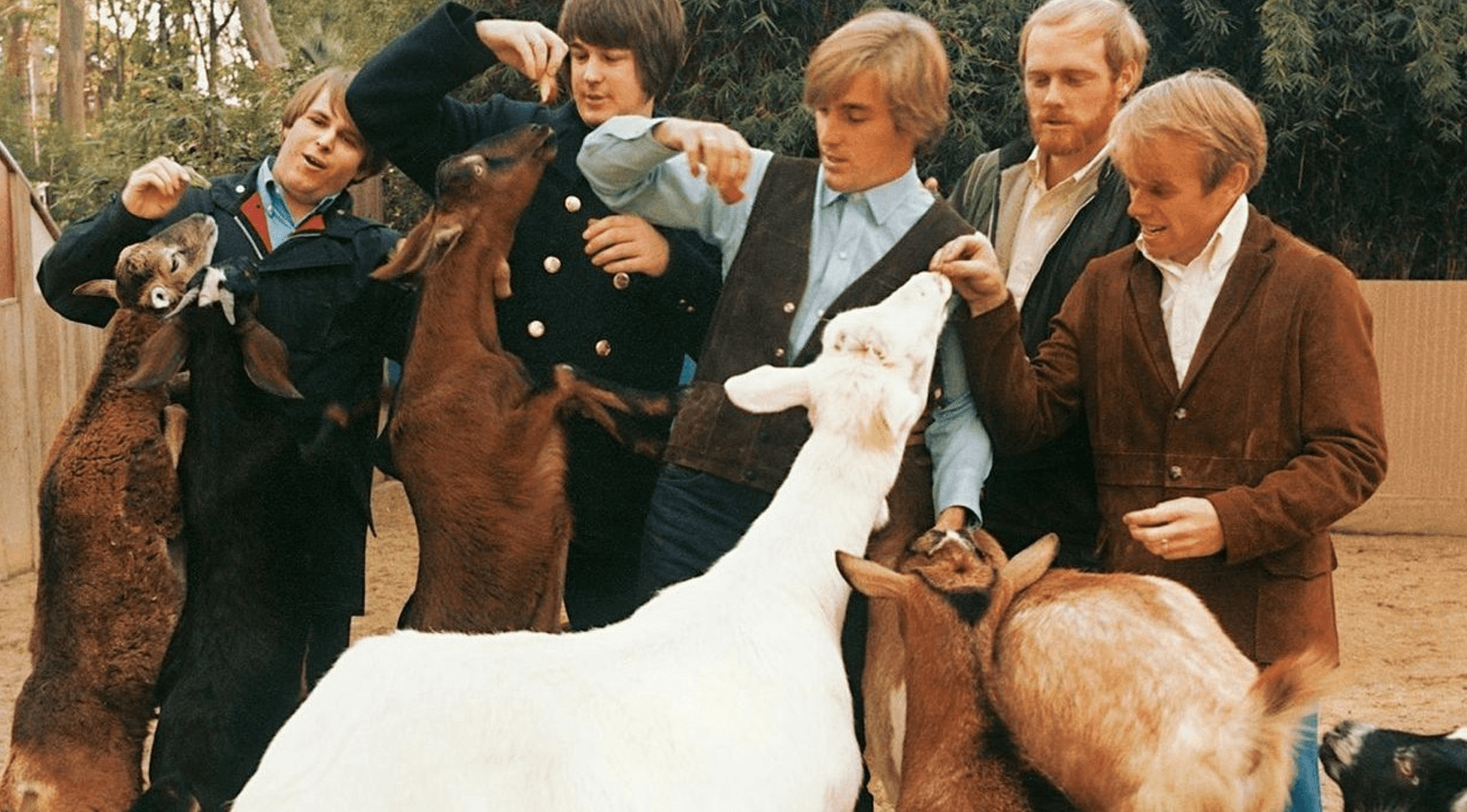 Pet Sounds Live: The Music of The Beach Boys