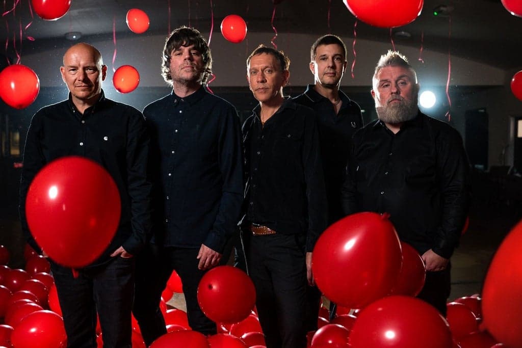 Shed Seven