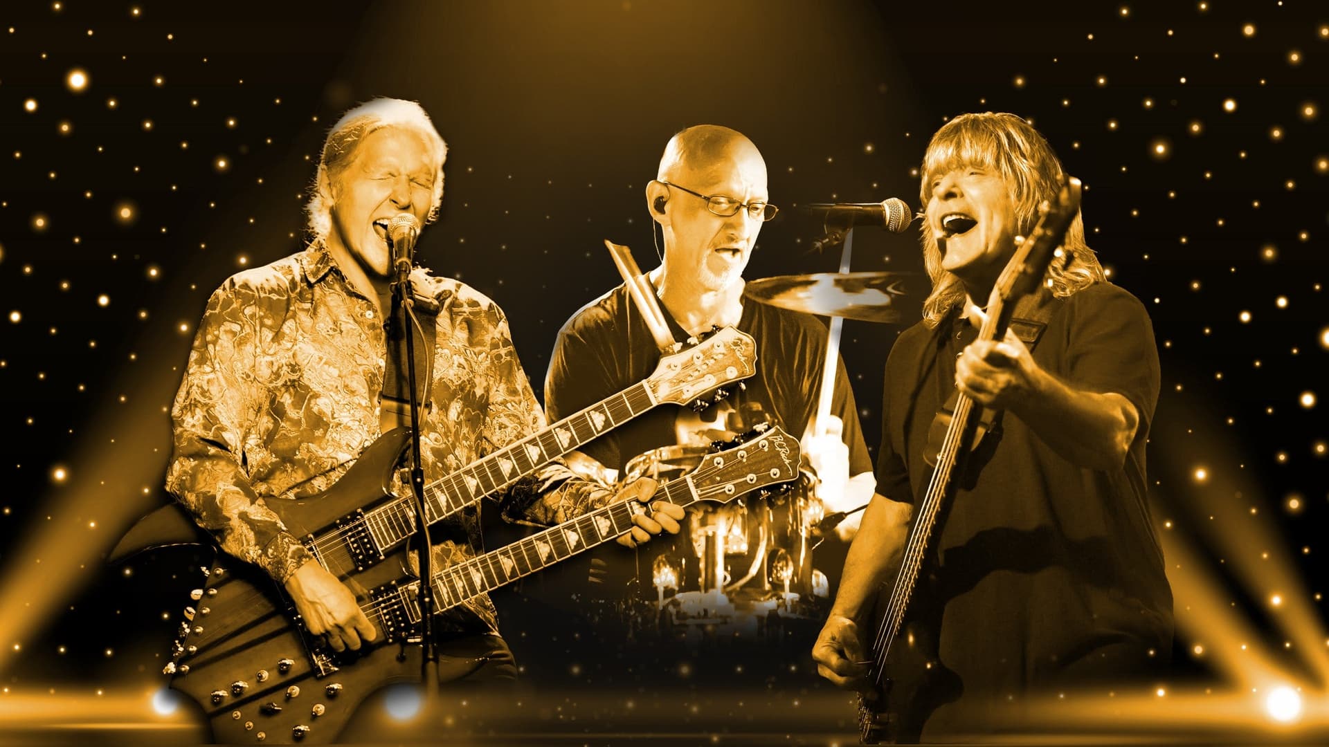 ZEBRA: 50th Anniversary Tour