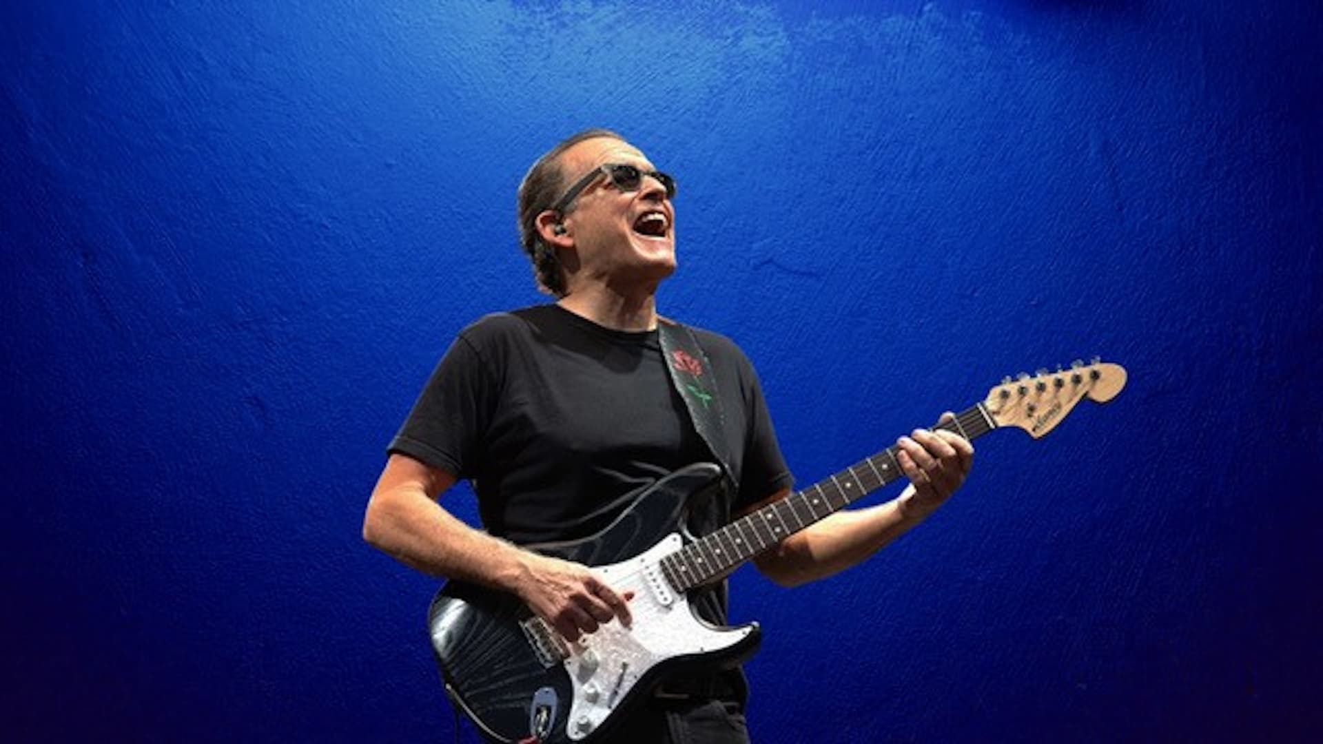 Tommy Castro & the Painkillers