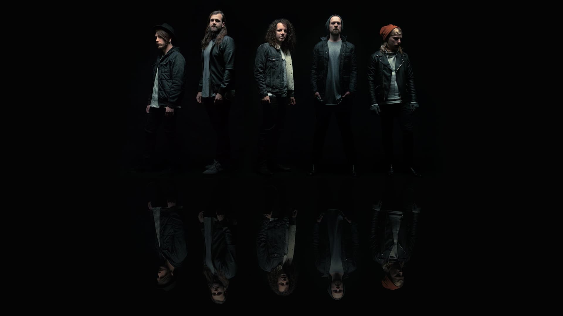 A Lot Like Birds