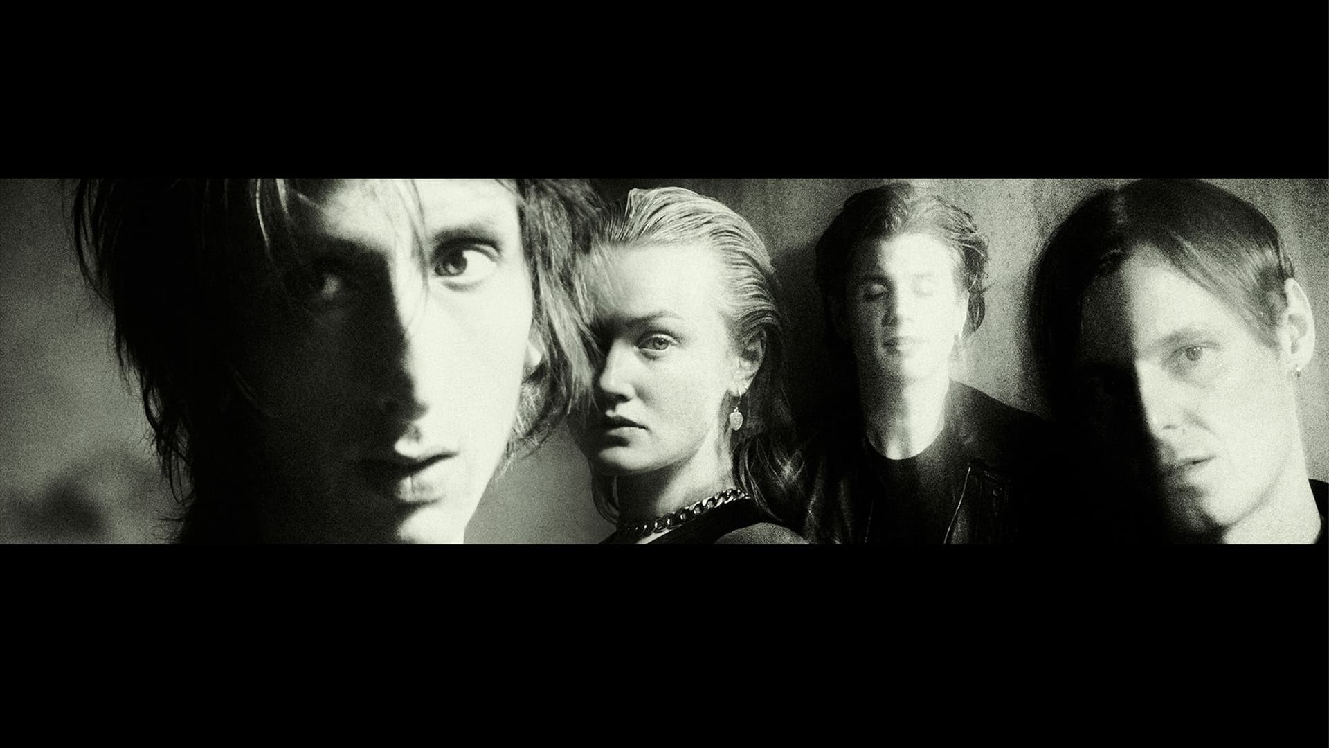 The Horrors