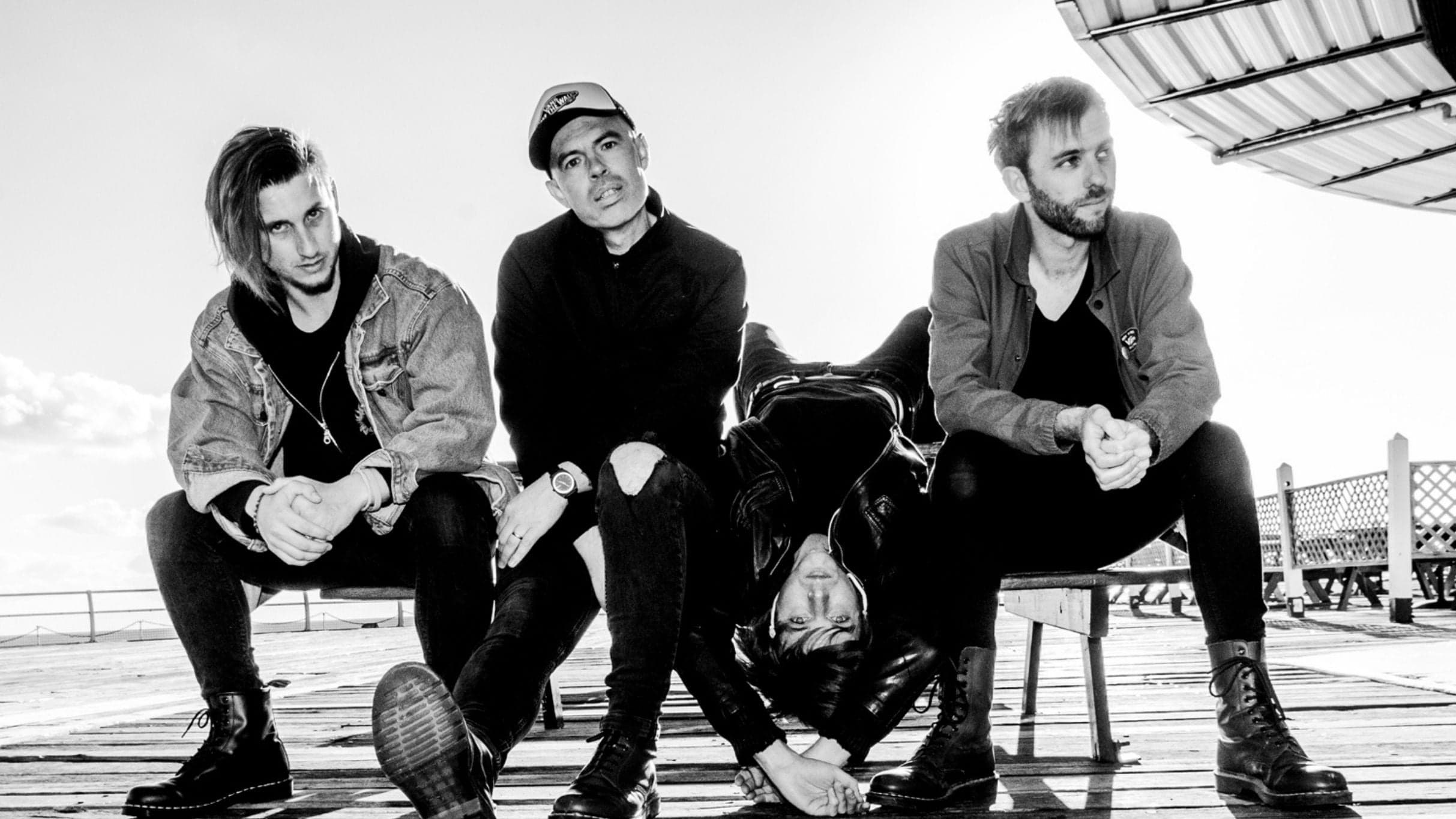 Pet Needs - LEVELLERS - zdjęcie 5