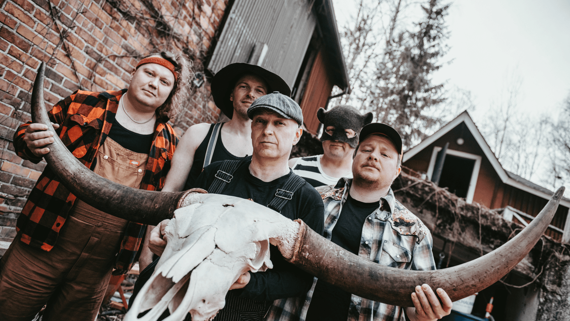 Steve 'n' Seagulls - The Dark Side of the Moo