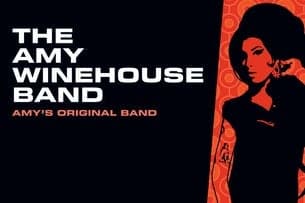 The Amy Winehouse Band