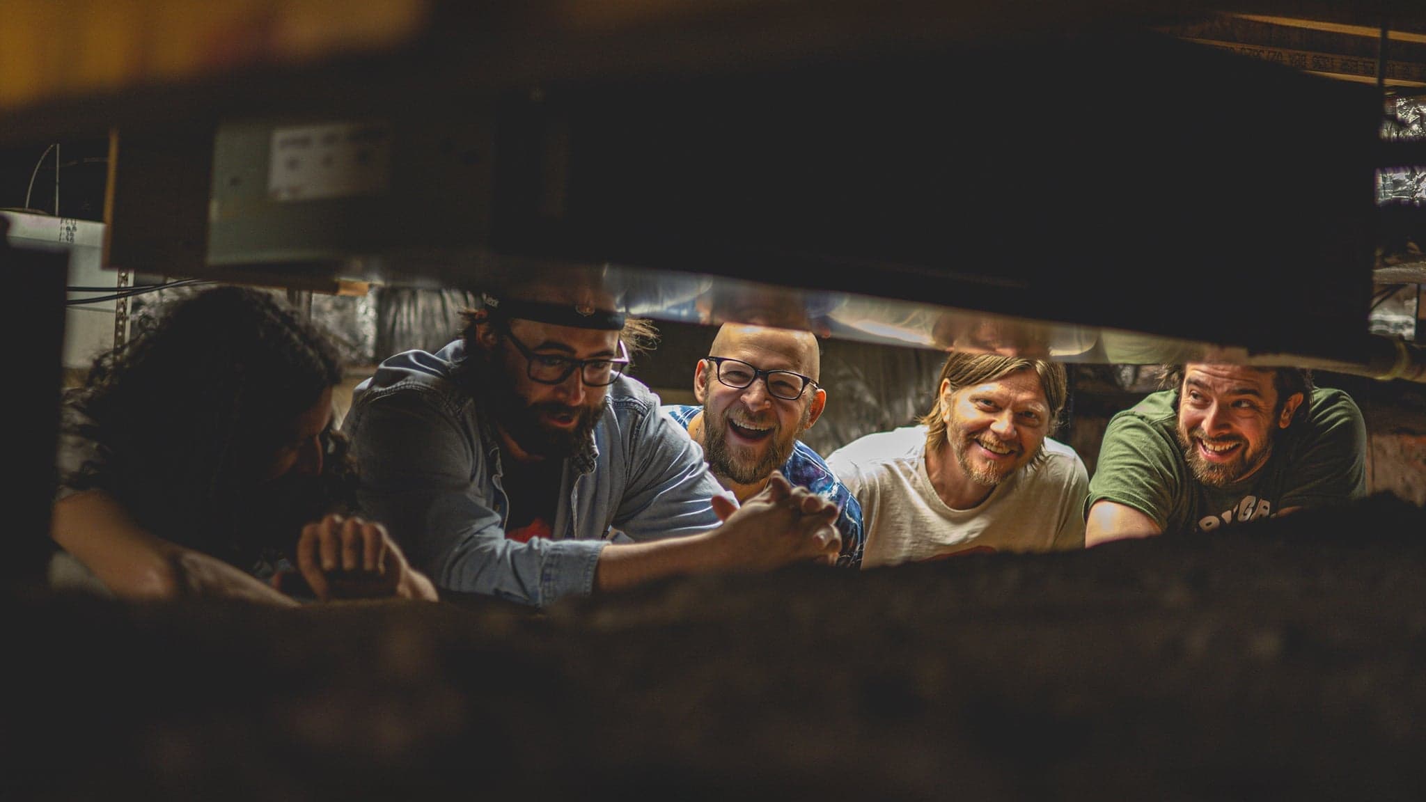 Houseplant - Pigeons Playing Ping Pong - zdjęcie 3
