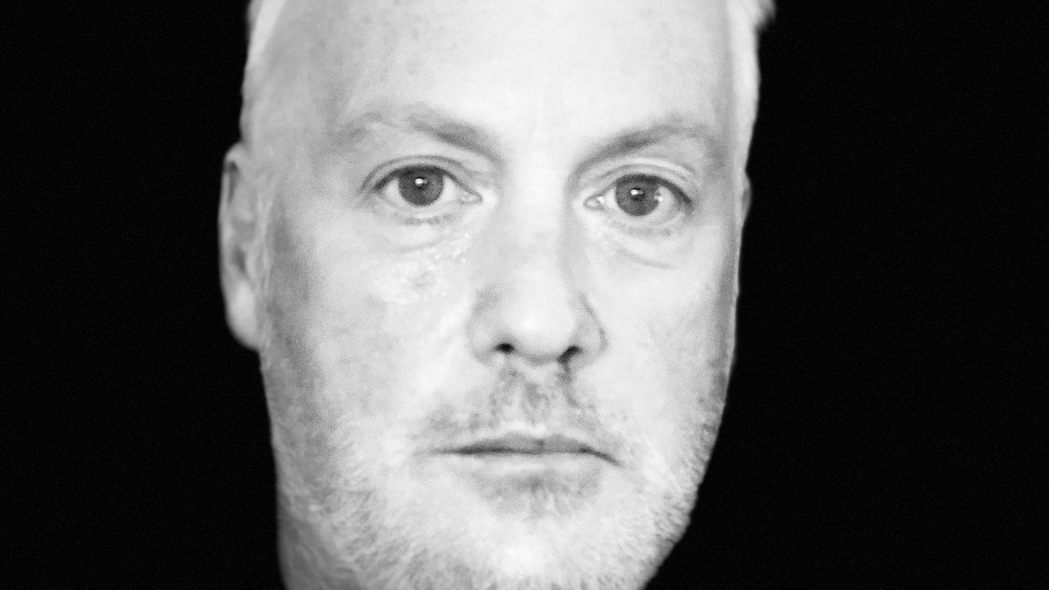 Babybird - zdjęcie 1