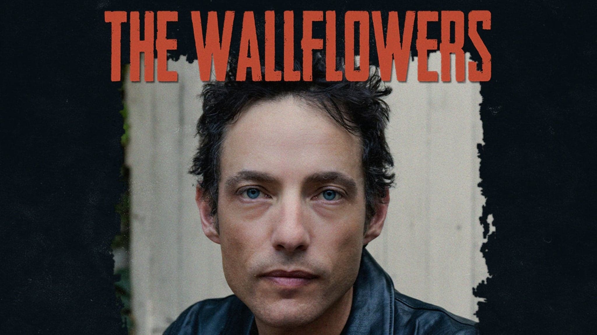 The Wallflowers - zdjęcie 1