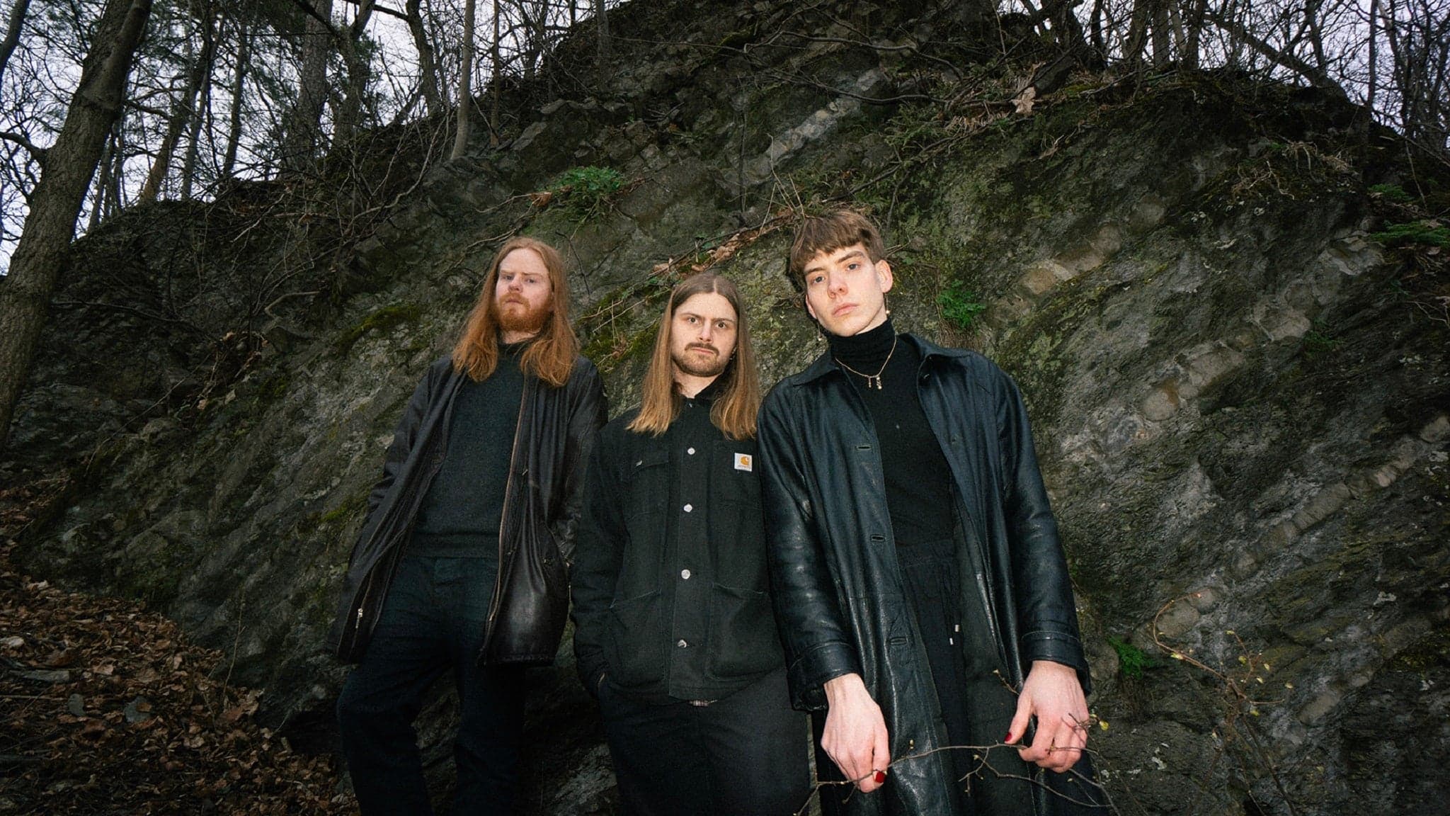 Rosa Faenskap - zdjęcie 1